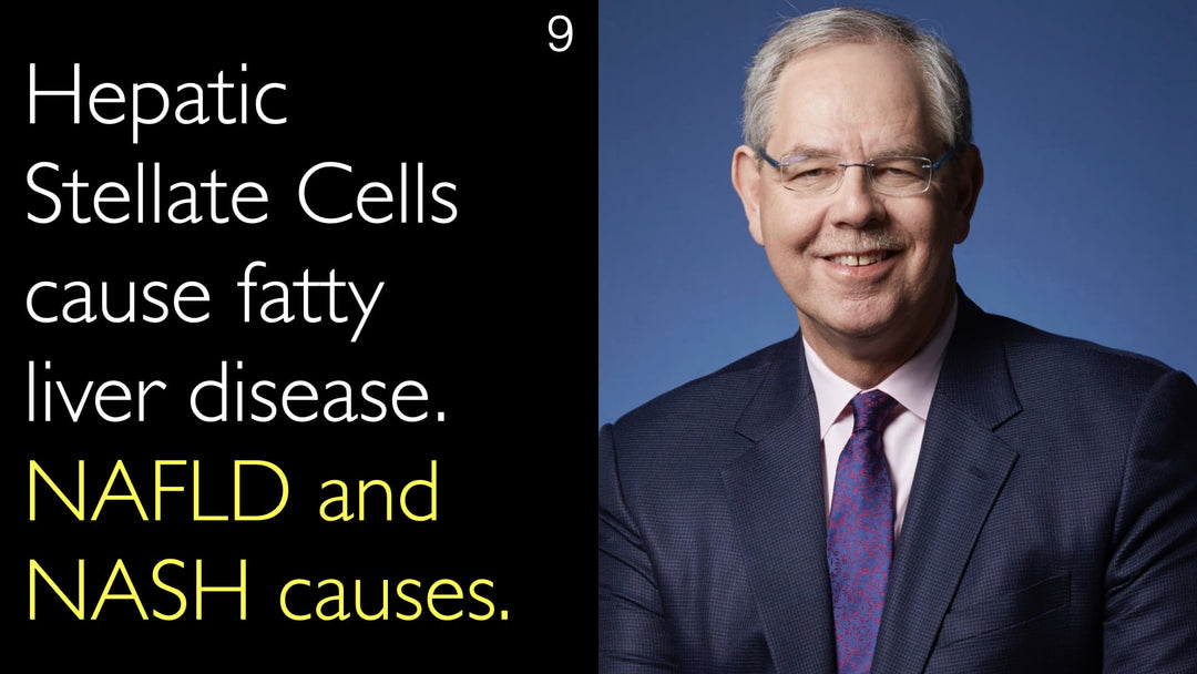 간성 성상세포가 지방간 질환을 유발하는 주요 원인입니다. 특히 비알코올성 지방간질환(NAFLD)과 비알코올성 지방간염(NASH)의 발생에 중요한 역할을 합니다.