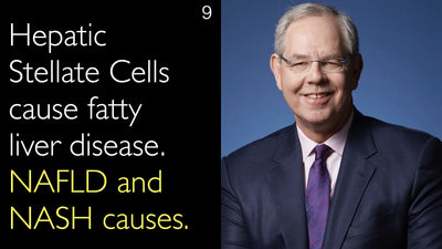 간성 성상세포가 지방간 질환을 유발하는 주요 원인입니다. 특히 비알코올성 지방간질환(NAFLD)과 비알코올성 지방간염(NASH)의 발생에 중요한 역할을 합니다.