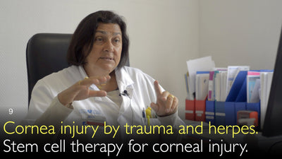 Corneal damage caused by trauma and herpes. Stem cell therapy for corneal injuries. 9