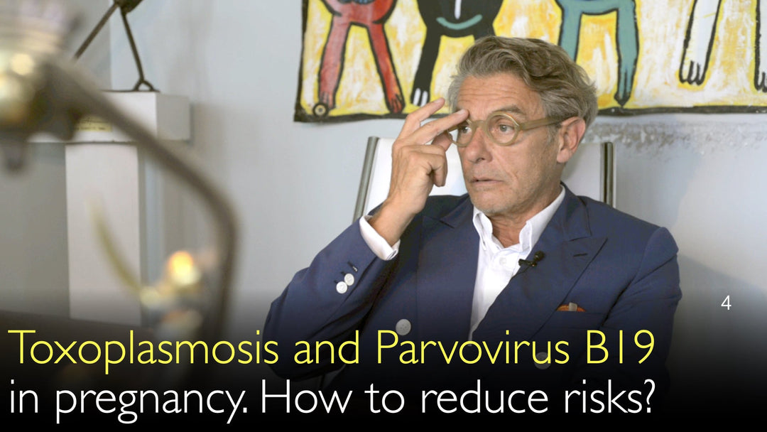 Toxoplasmosis and Parvovirus B19  in pregnancy. How to reduce risks? 4